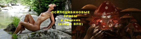 молекула духа Бугульма
