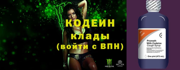 хмурый Богородицк