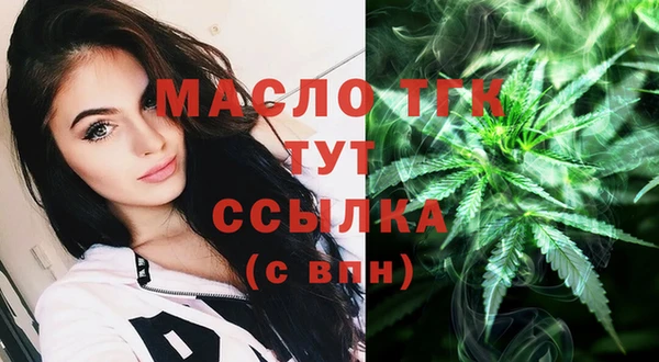 гашик Бородино