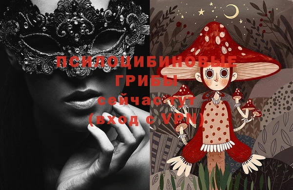 хмурый Богородицк